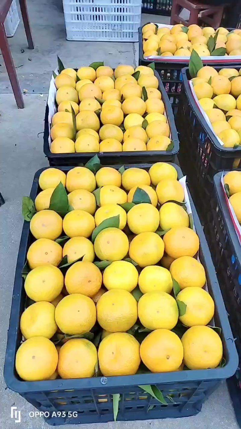 诚信经营