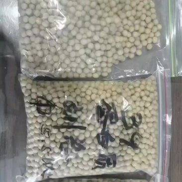 100万吨40，41，42蛋白质含量以上都有。量大价优，