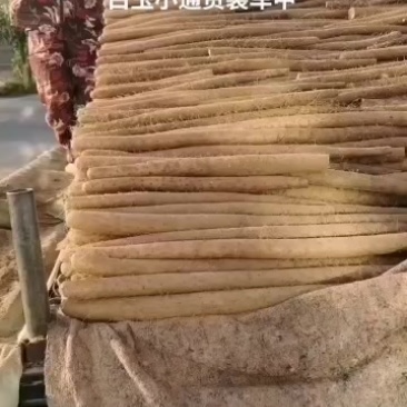 【新鲜白玉山药，产自大名县，品质保证】