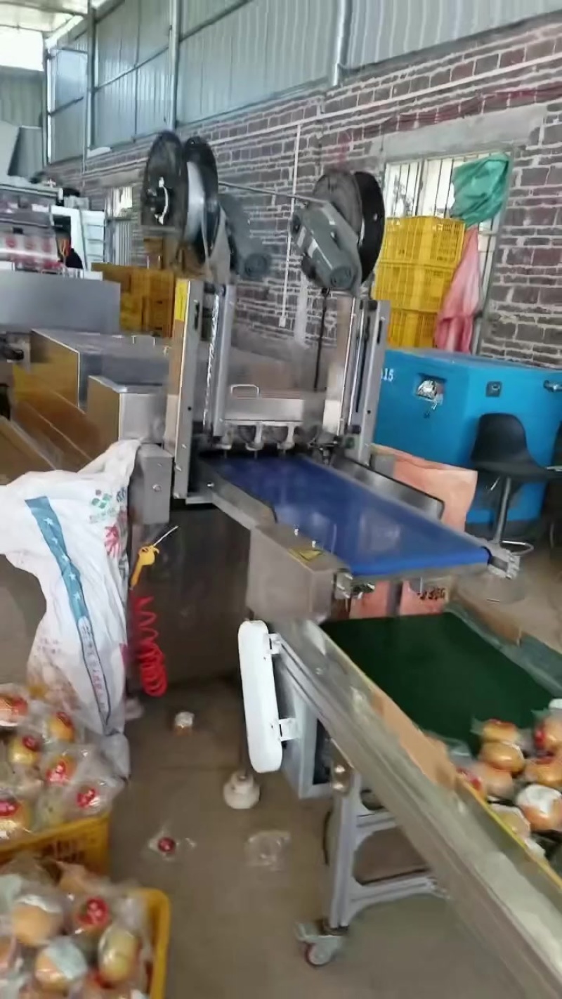 精品巧克力脆柿子，产地直发大量有货，可视频看货