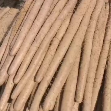 新鲜白玉山药，产自河北邯郸大名，营养丰富，健康美味！
