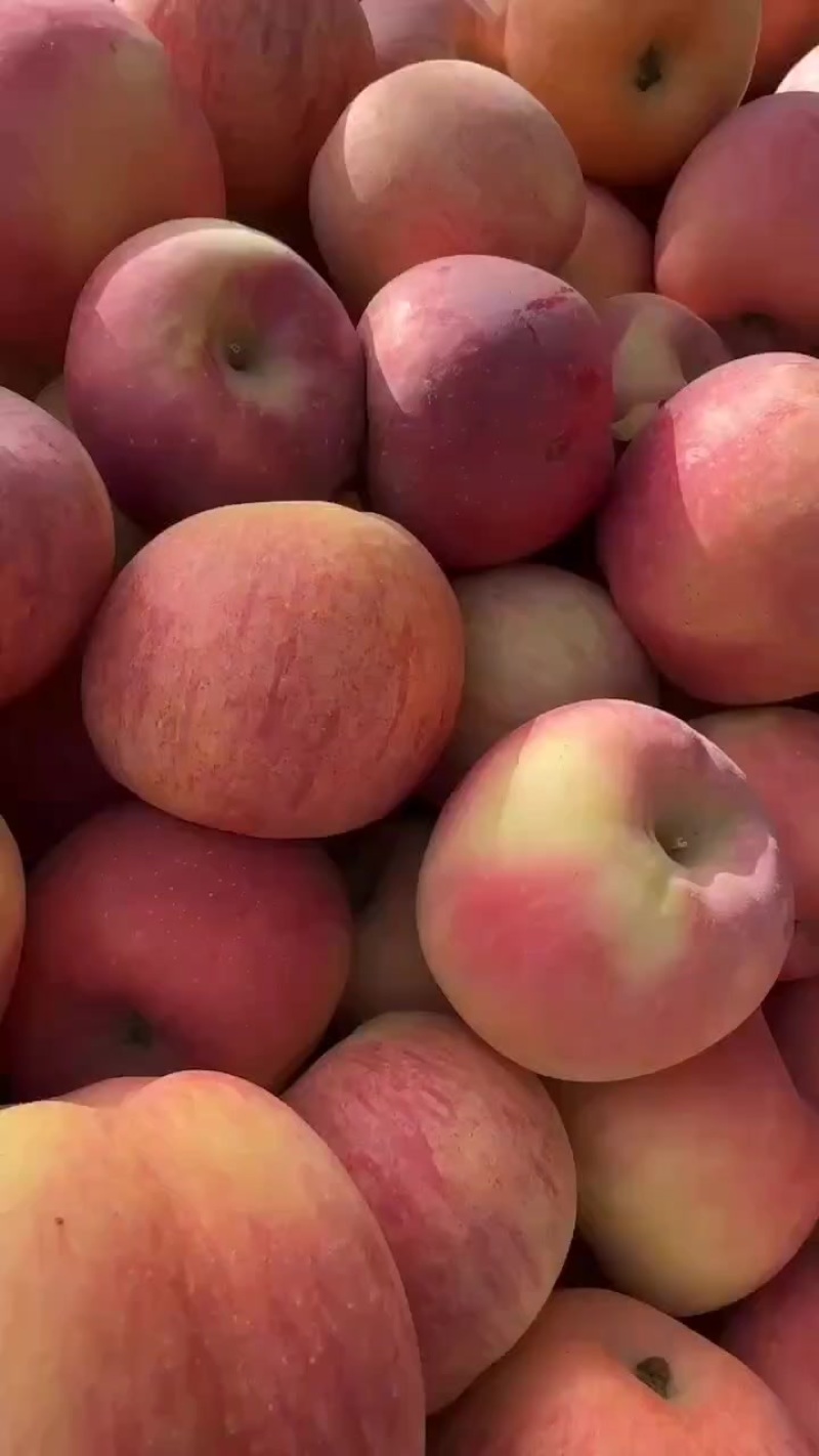 新疆冰糖心苹果，口干好
