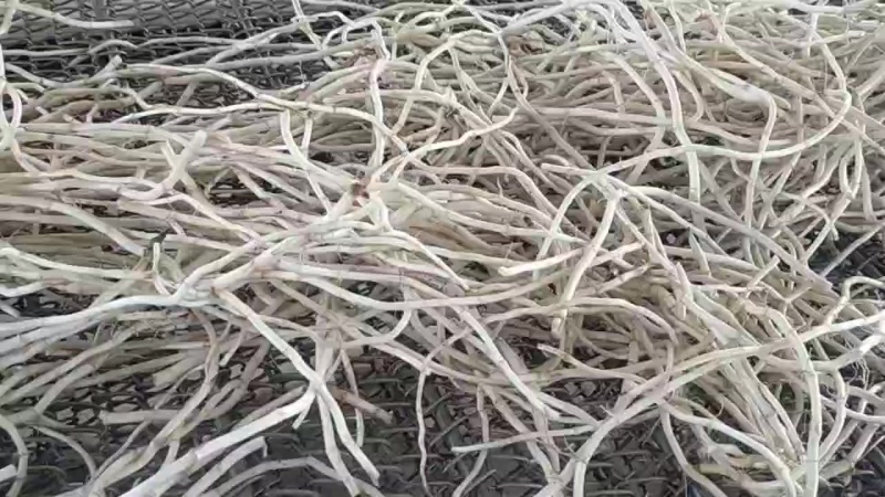 基地源头货，新根现挖现发，品质保证