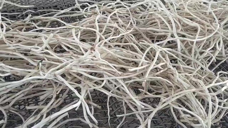 基地源头货，新根现挖现发，品质保证