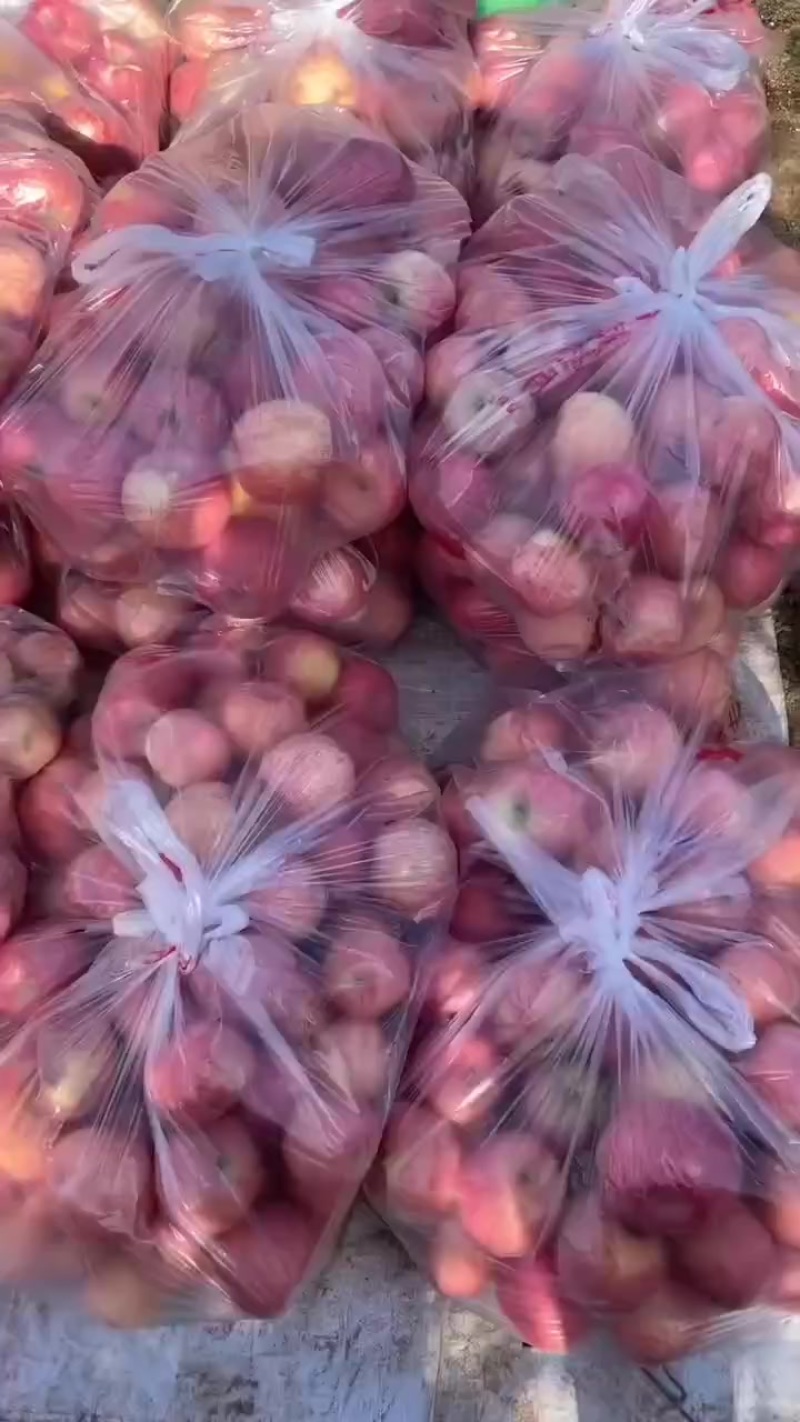 高次苹果