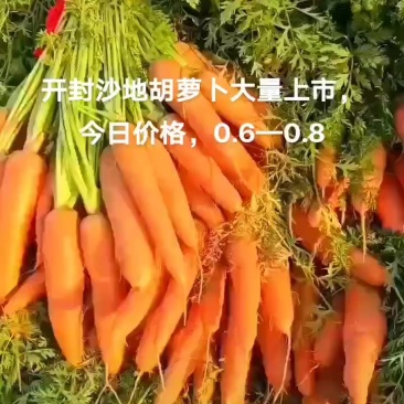 精品沙地胡萝卜，支持各种包装