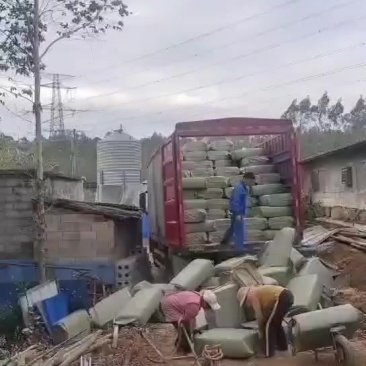 压缩稻壳到达广西继续装货中