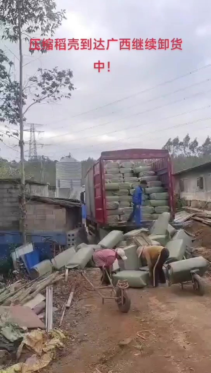 压缩稻壳到达广西继续装货中