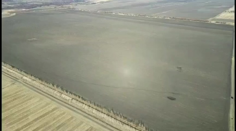 耕地合作种植