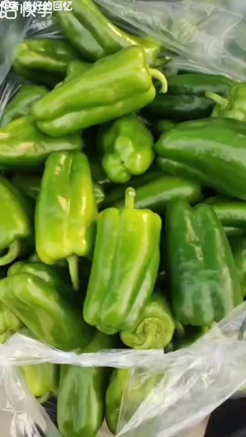 菜椒