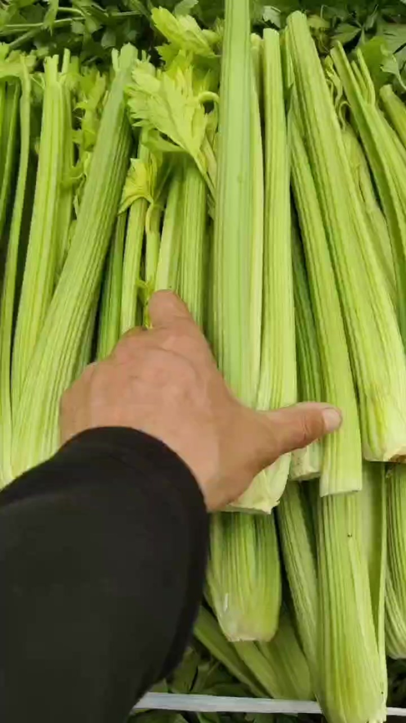 中棵西芹