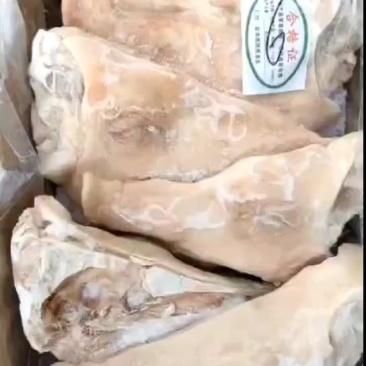 鸿运当头