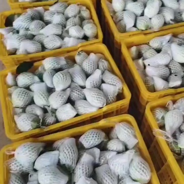 番石榴