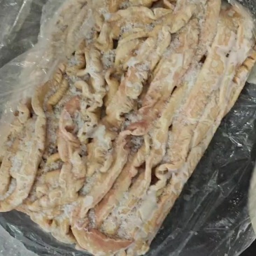 纯干大肠