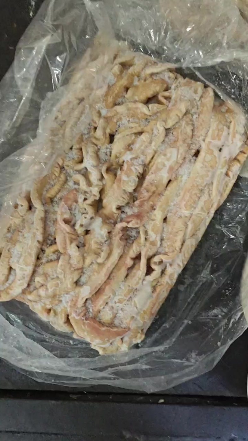纯干大肠