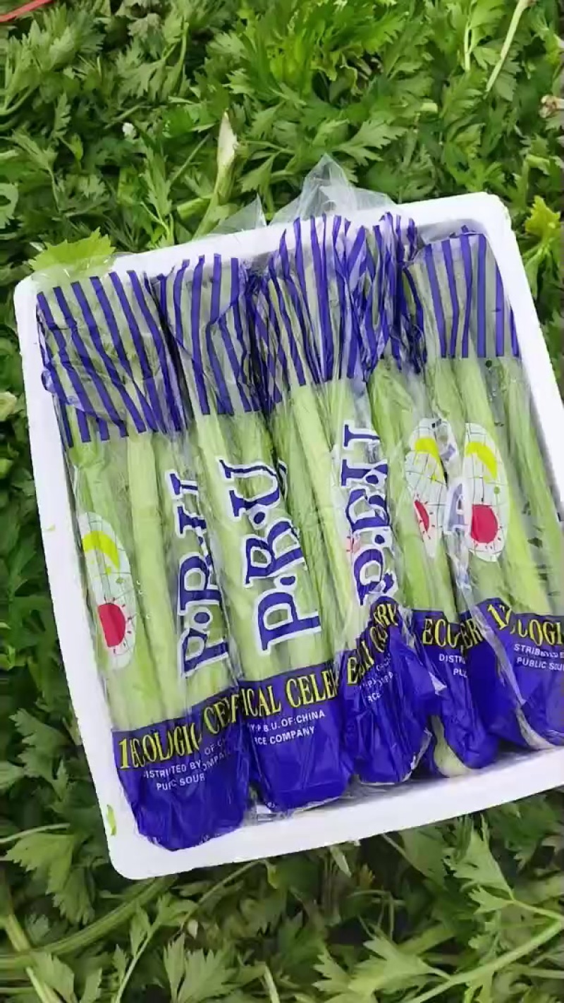 河南西芹大量上市专业对接档口，电商，商超