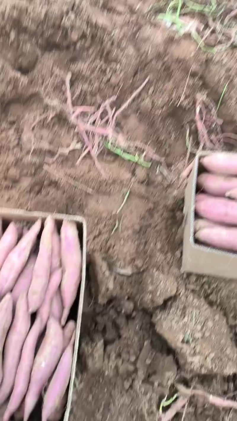 夏县特产