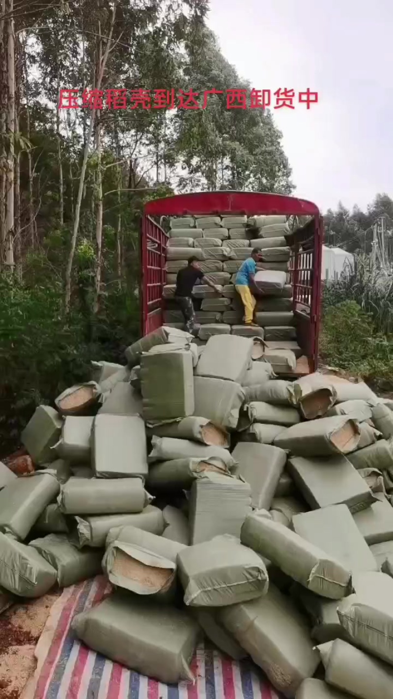 压缩稻壳到达广西继续卸货中