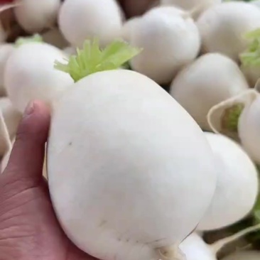 要的来