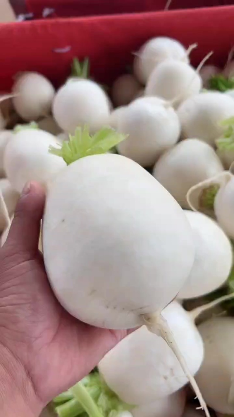 要的来