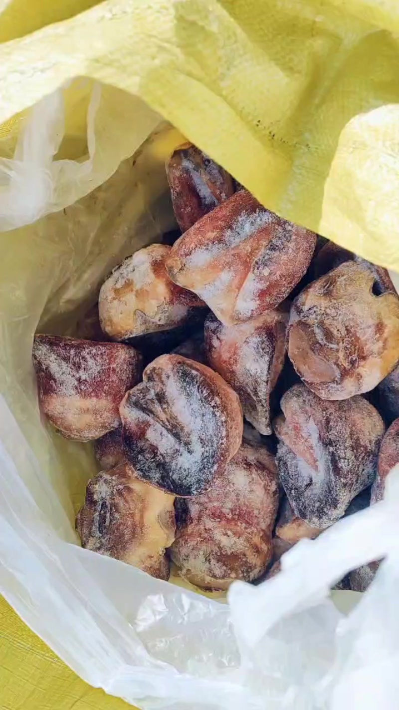 短蹄子