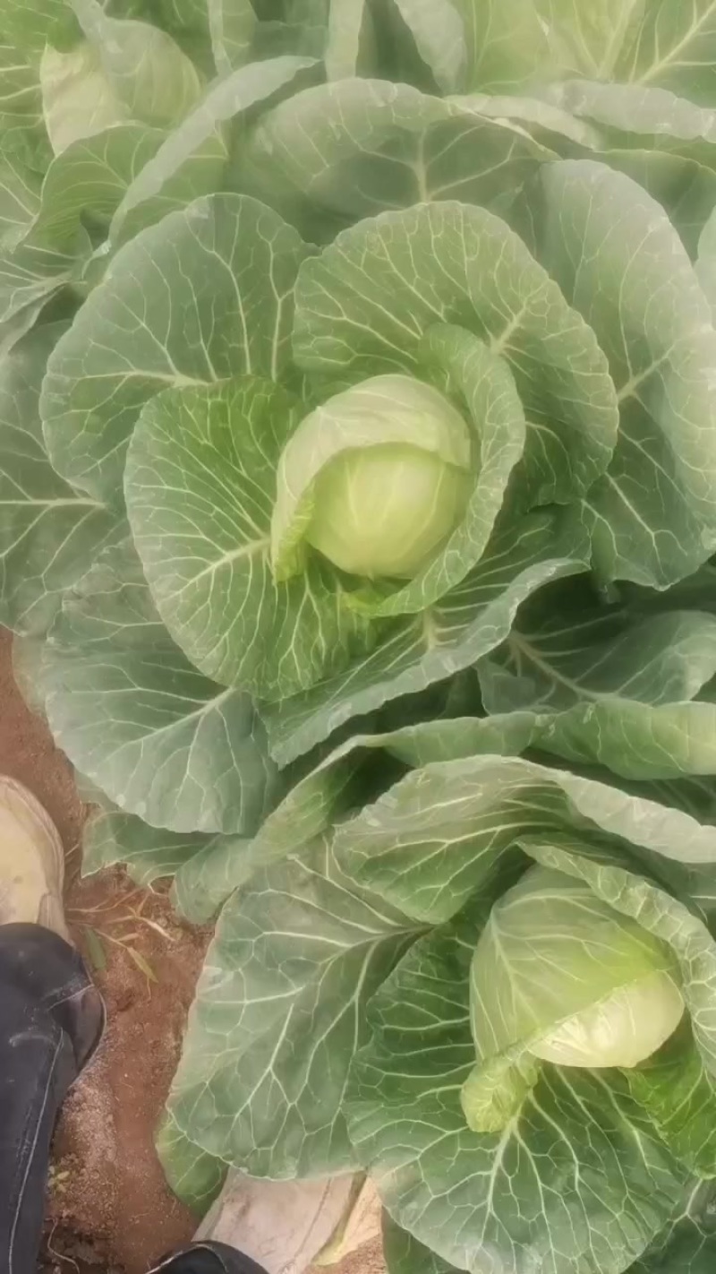 出售
