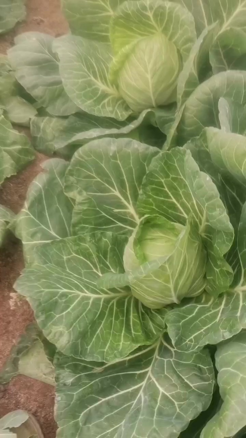出售