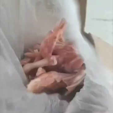平切小鸭掌