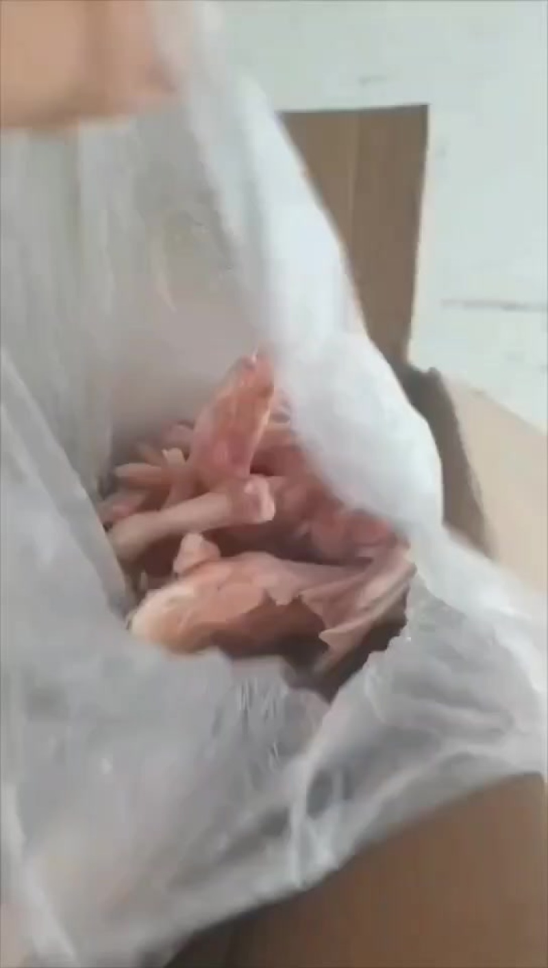 平切小鸭掌