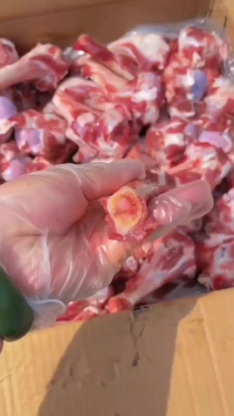 多肉羊棒骨厂家直销量大从优可以发样品