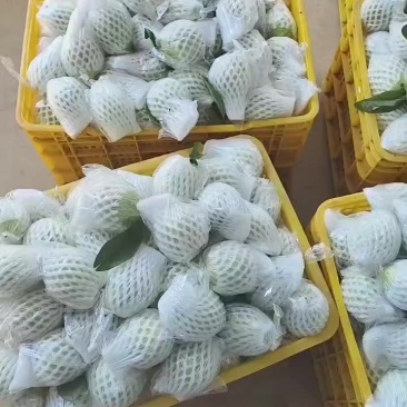 番石榴