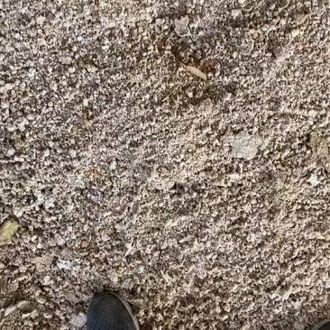 红薯渣