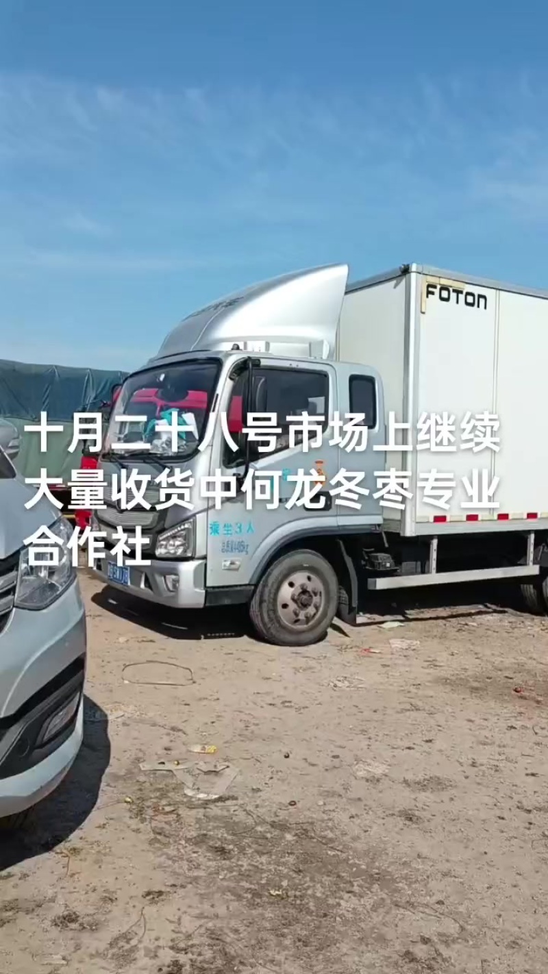 沾化冬枣大量现货供应产地直发地里位置优越
