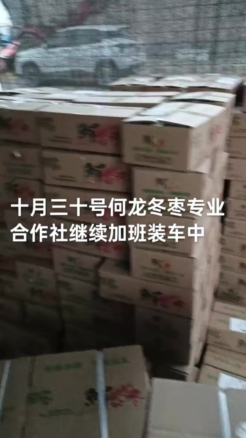 沾化冬枣大量现货供应产地直发地里位置优越