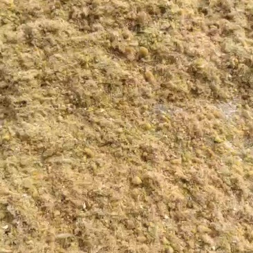 毛蛋粉