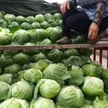 需要的来
