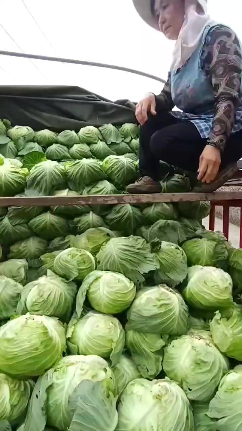 需要的来