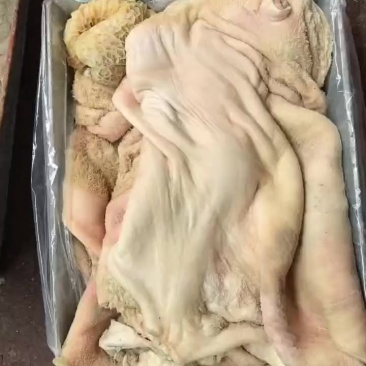 牛净肚