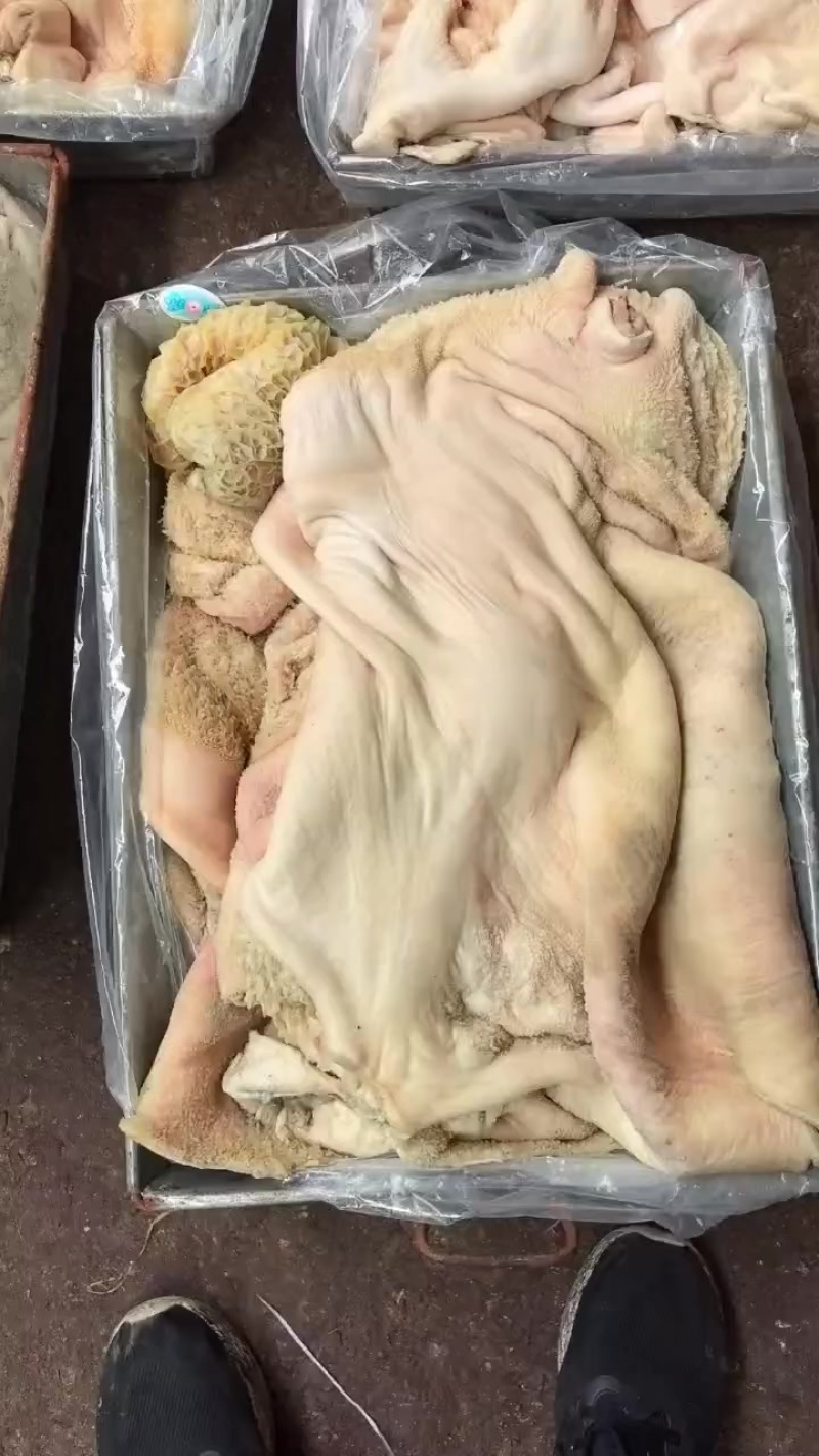 牛净肚