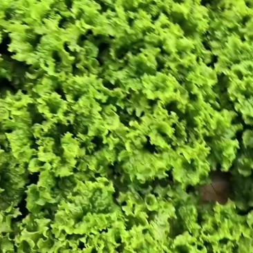 大量有货