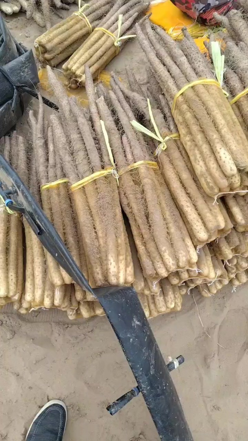 网袋