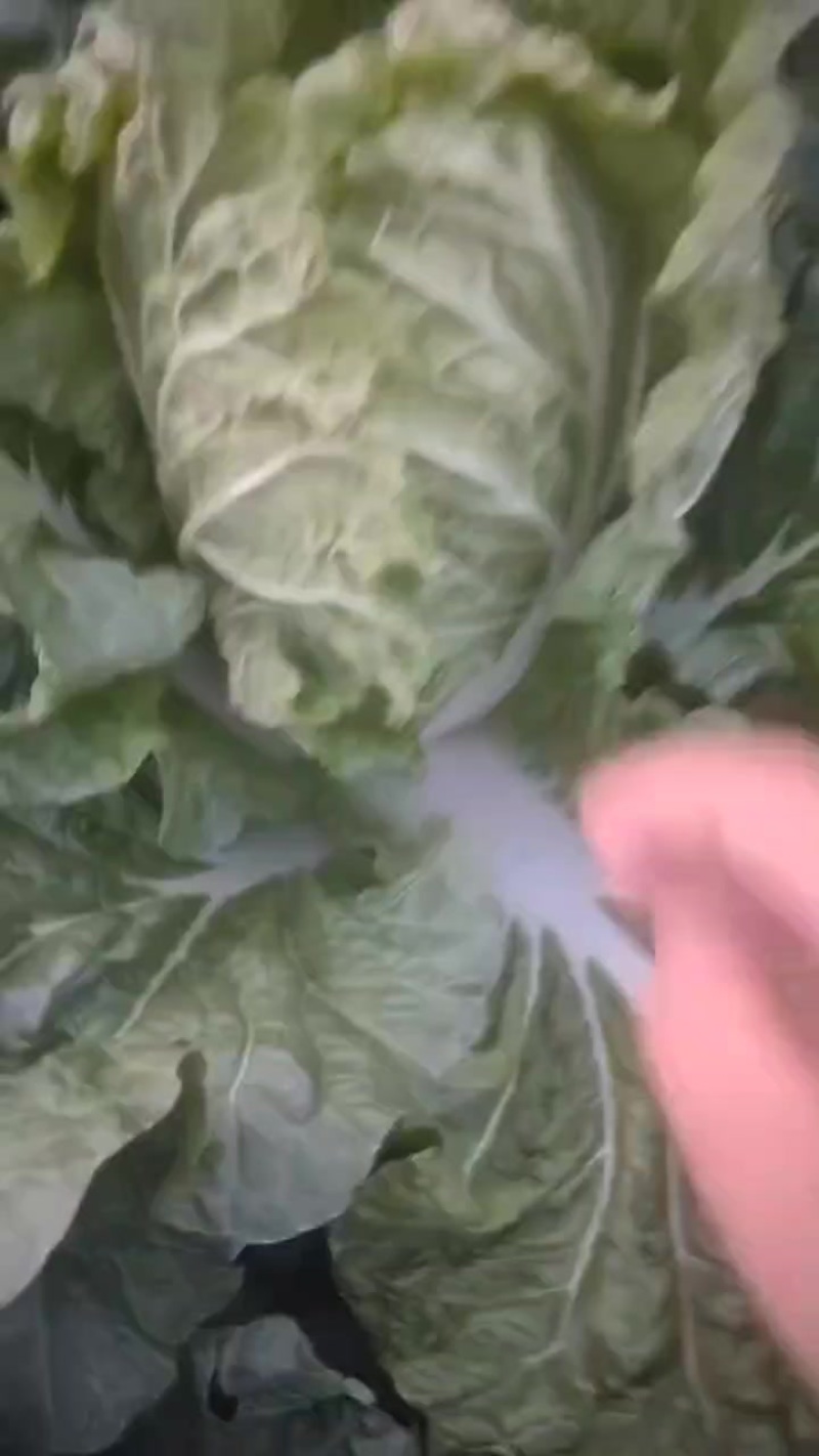 需要的来