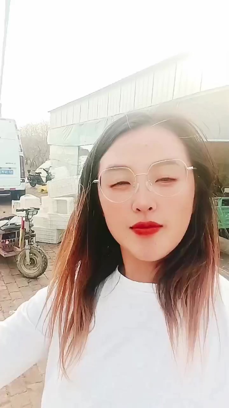 沾化冬枣
