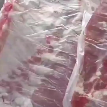 精修肋排