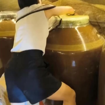 云南自家洞藏酒.洞藏酒，糯高粱、糯玉米、大麦欢迎老板对接