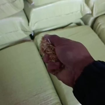 压缩稻壳发宜昌装货中
