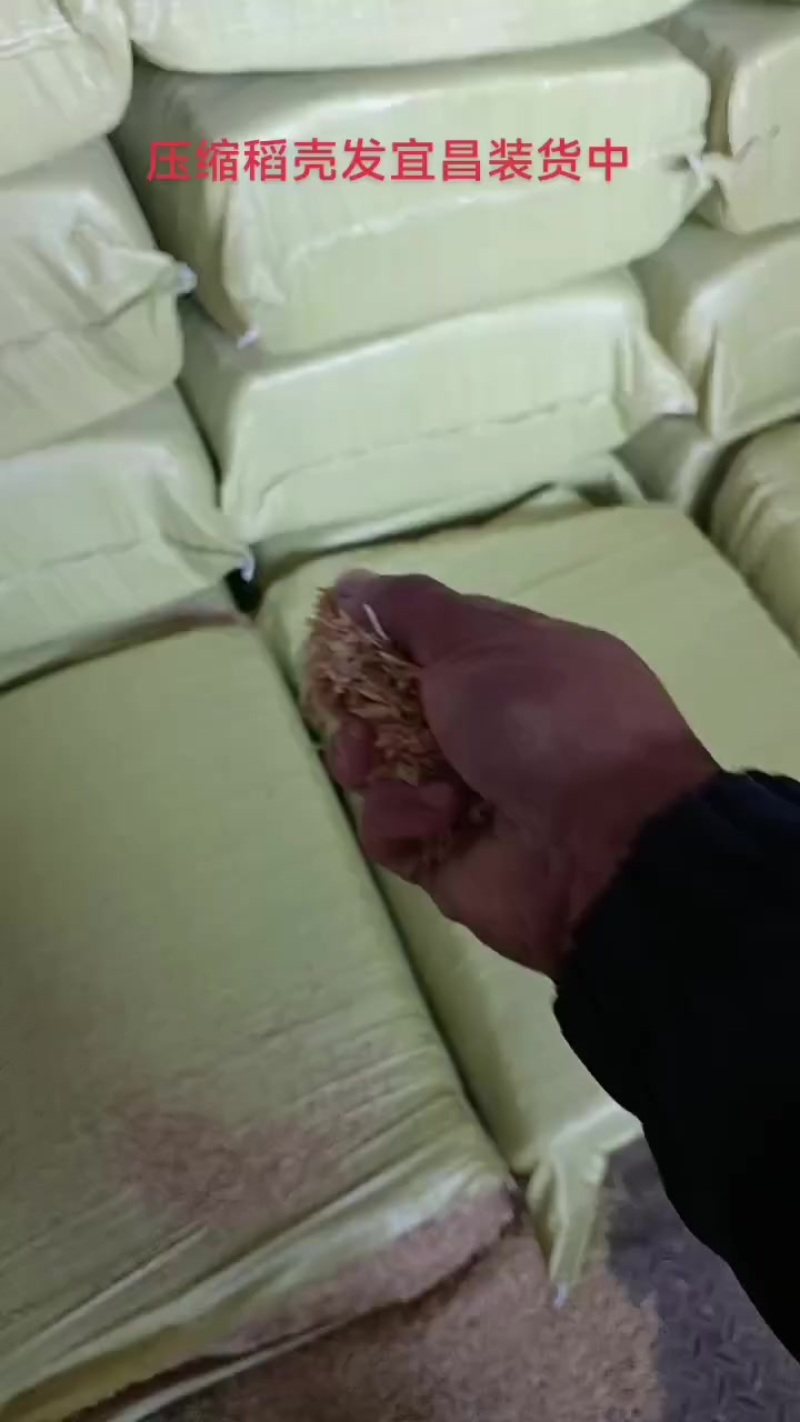 压缩稻壳发宜昌装货中
