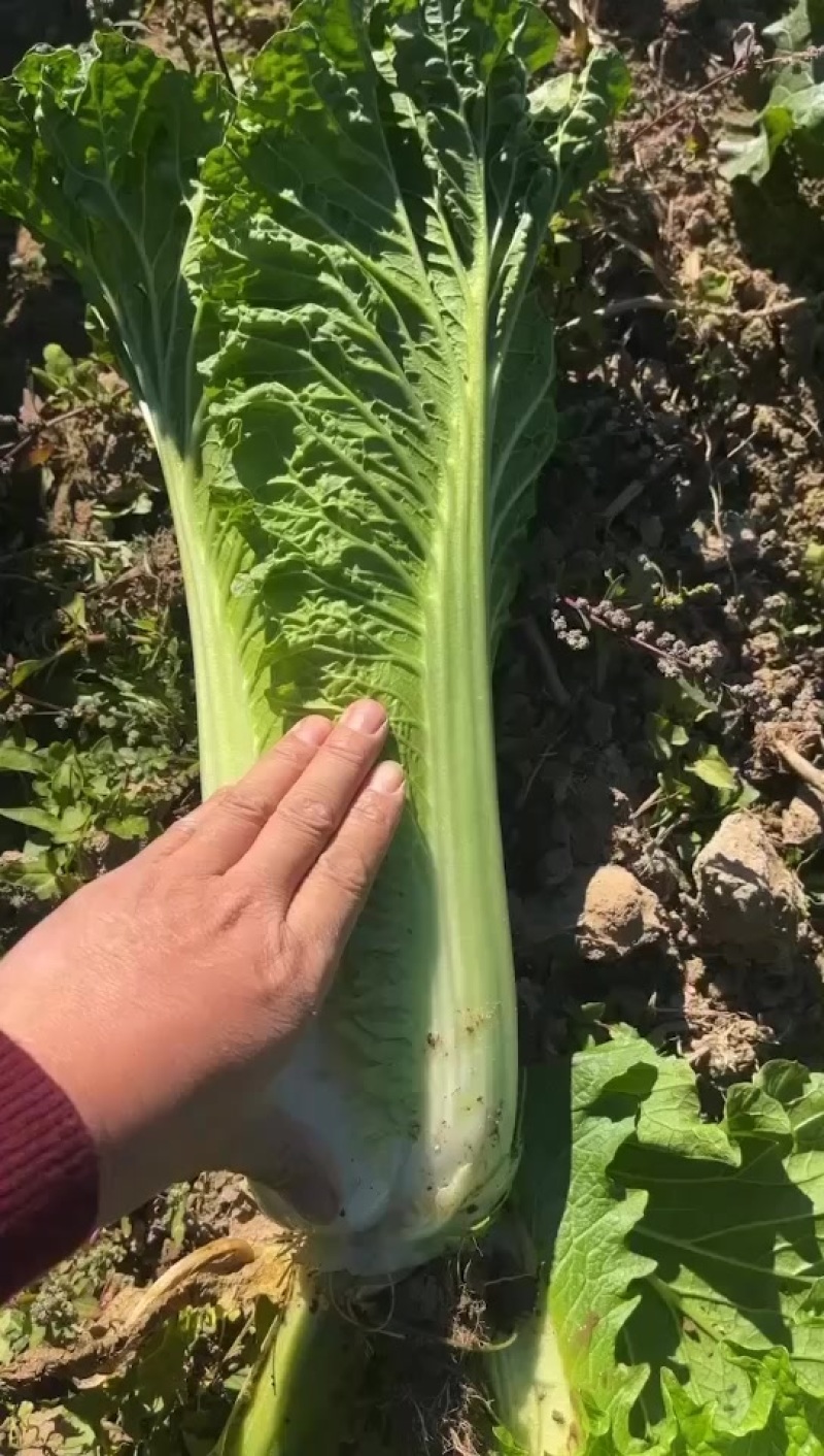 精品好货