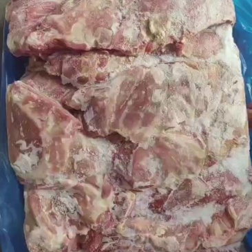 母猪一号肉