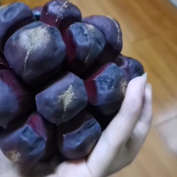 新鲜布福娜，健康美味，直供农场，快来尝鲜！